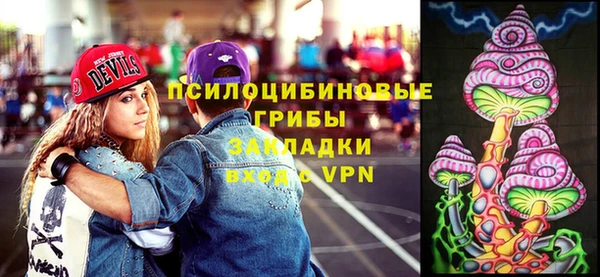 прущая мука Армянск