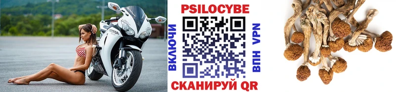 Галлюциногенные грибы Magic Shrooms купить сайты Верхняя Тура
